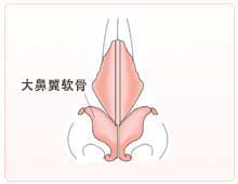 正常的延长